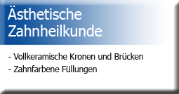 Ästhetische Zahnheilkunde: Vollkeramische Kronen und Brücken, Zahnfarbene Füllungen